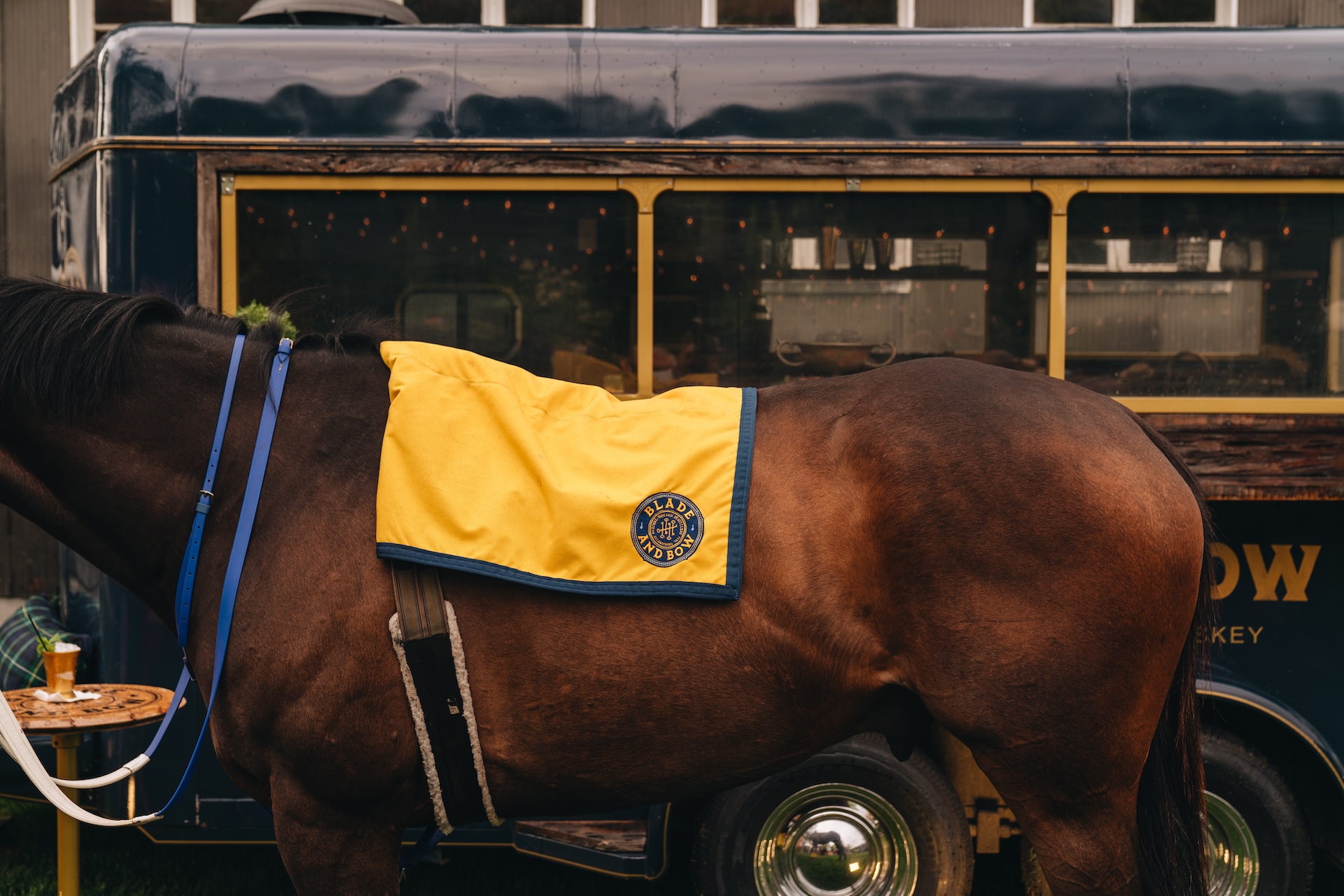 Horse’s back wearing a yellow Blade and Bow branded blanket